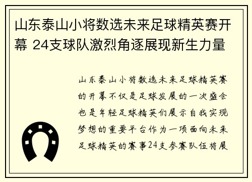 山东泰山小将数选未来足球精英赛开幕 24支球队激烈角逐展现新生力量
